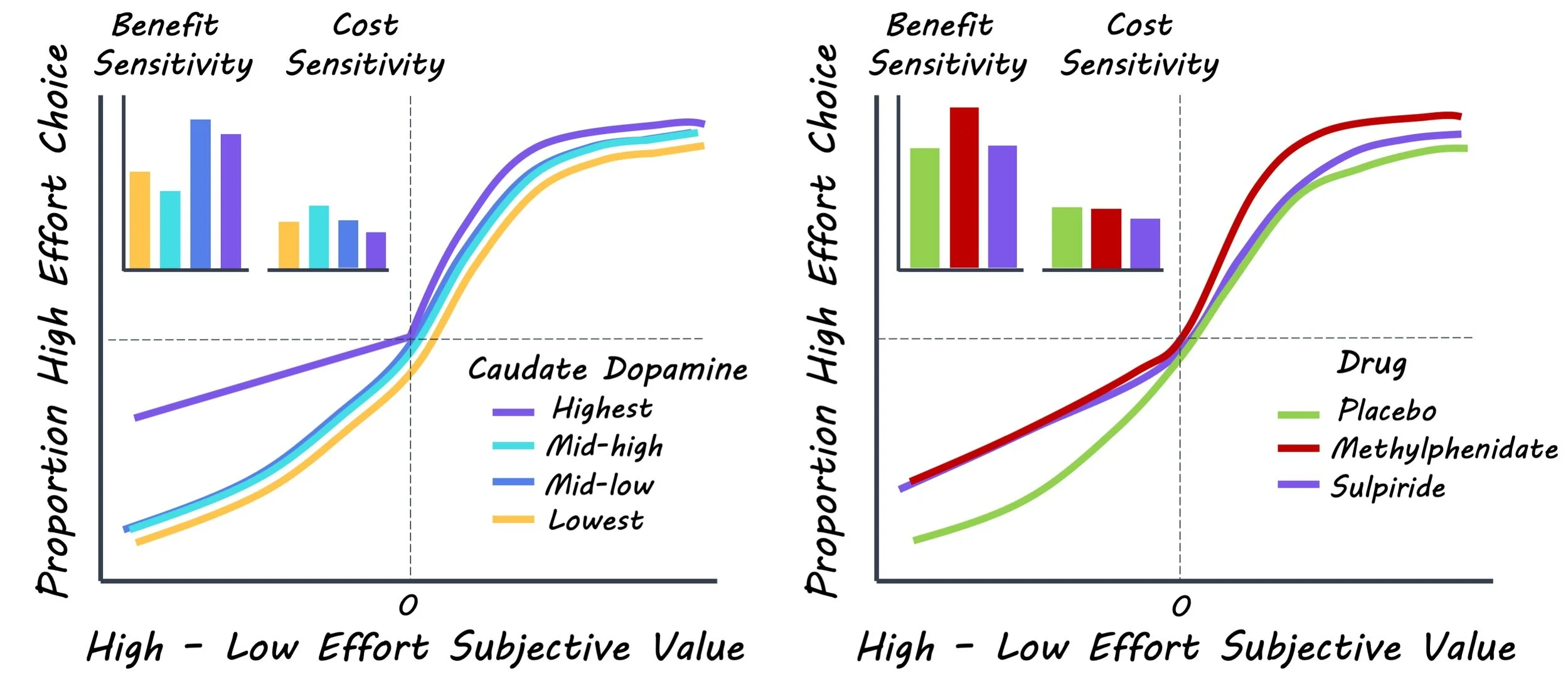 Dopamine Increases Our Sensitivity to Benefits — BrainPost Easyto