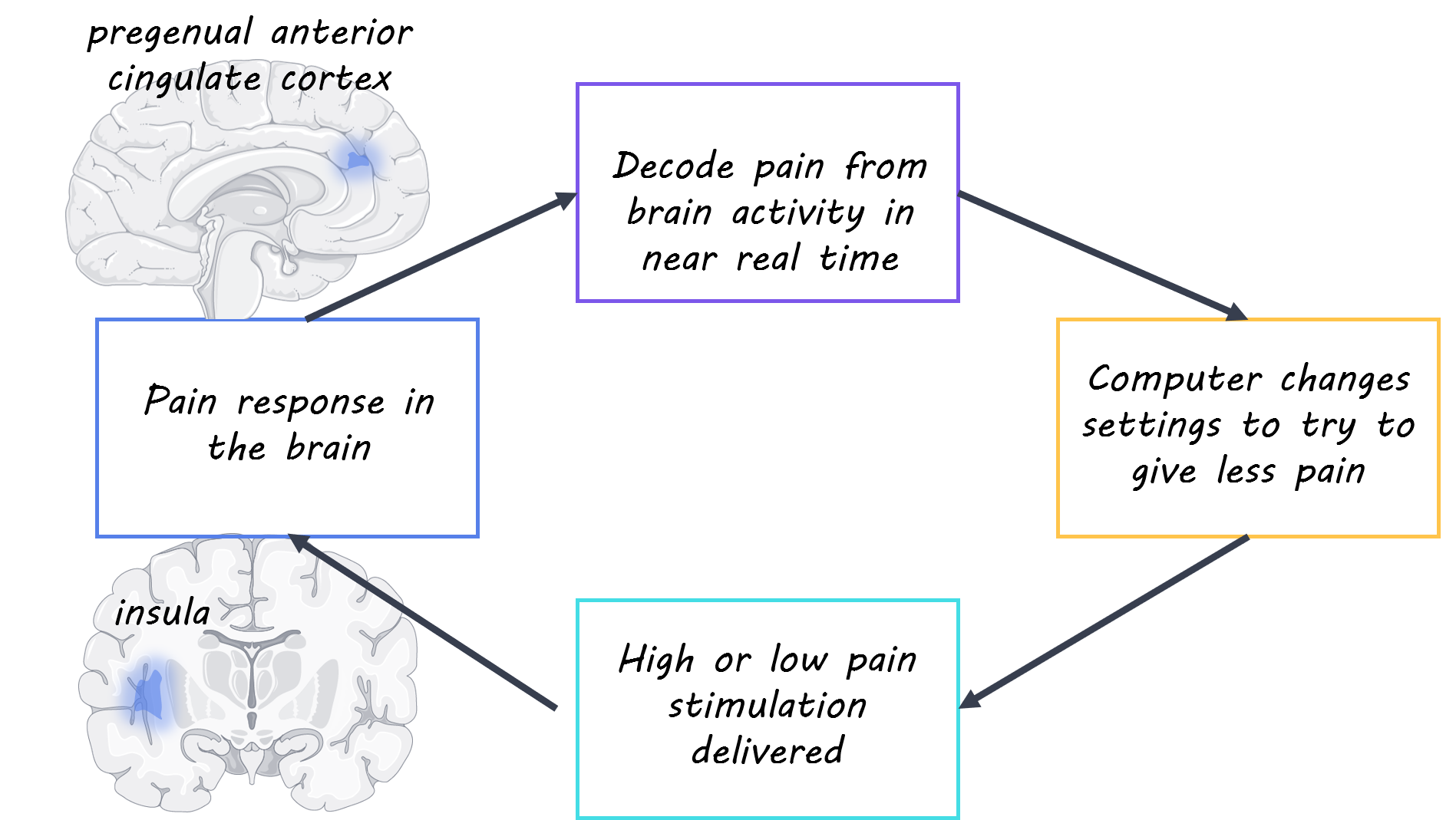 Decoding the Neural Representation of Pain Using a Brain-Machine ...