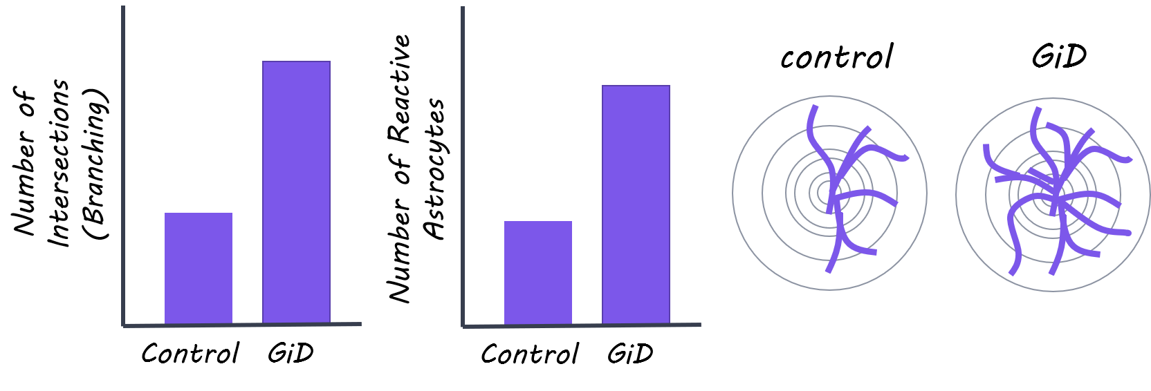 Reactive Astrocytes Worsen Alzheimer’s Disease Pathology — BrainPost ...