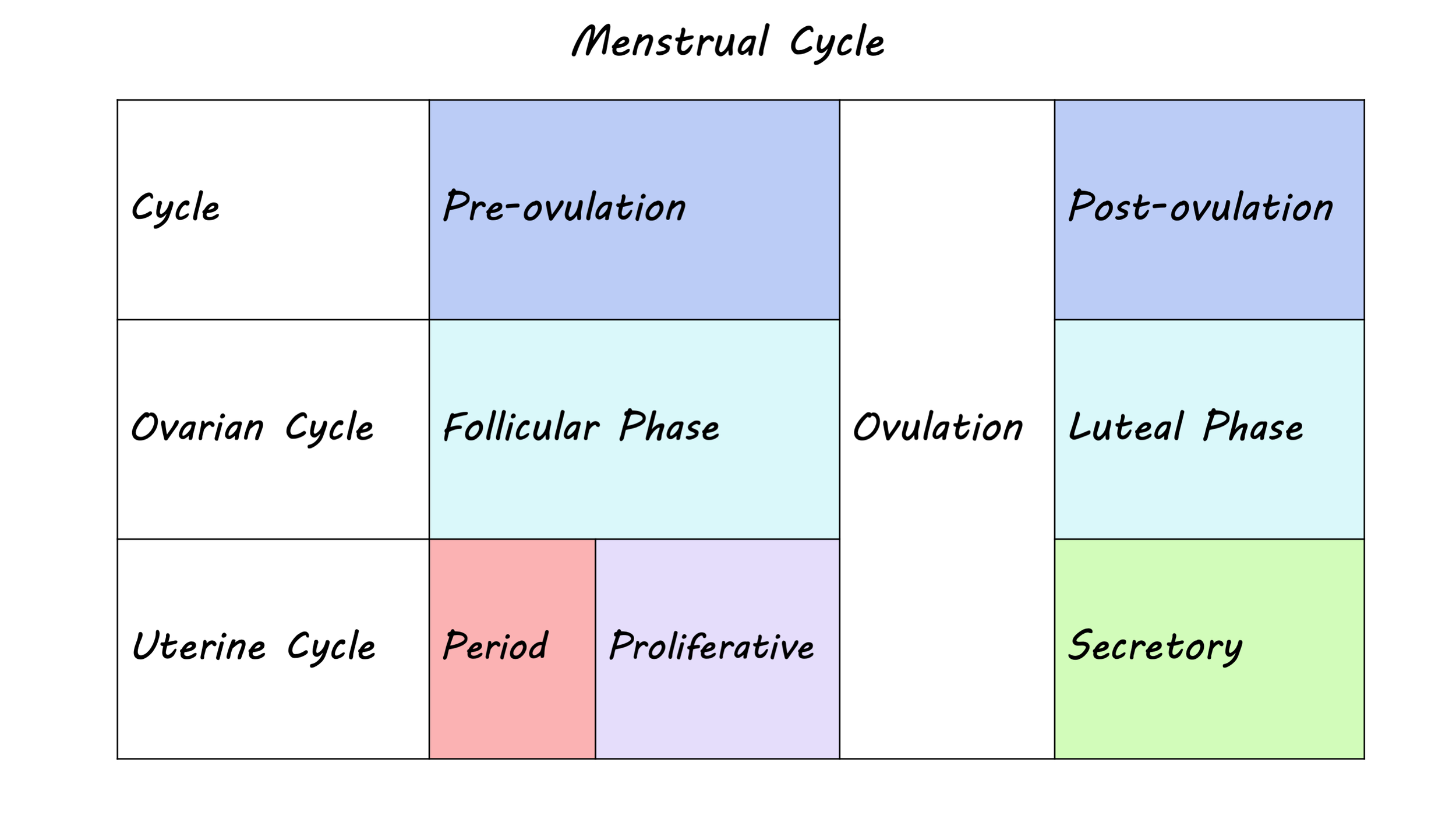 The Relationship Between the Menstrual Cycle and Sleep — BrainPost