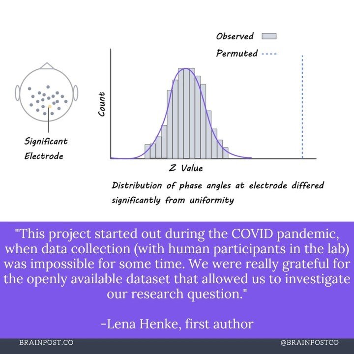 Natural Brain Waves Correspond with Eye Movements During Reading⁠
⁠
New this week in @SfNJournals⁠
⁠
@brainpostco's scientific summary by @CupoLani⁠
⁠
https://www.brainpost.co/weekly-brainpost/2023/6/20/natural-brain-waves-correspond-with-eye-movemen