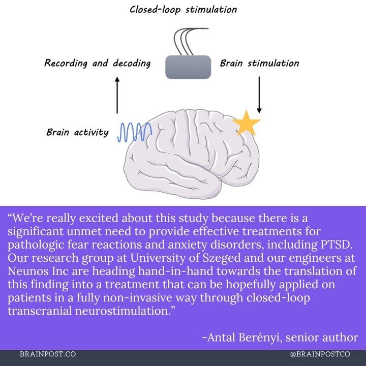 Closed-Loop Brain Stimulation Reduces Fear Responses⁠
⁠
New this week in @NatureComms⁠
⁠
@brainpostco's scientific summary by Laura Maile⁠
⁠
https://www.brainpost.co/weekly-brainpost/2023/7/11/closed-loop-brain-stimulation-reduces-fear-responses