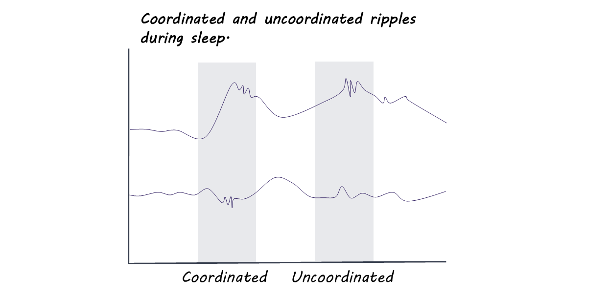 How the Hippocampus Combines Place and Emotion in Memory — BrainPost ...