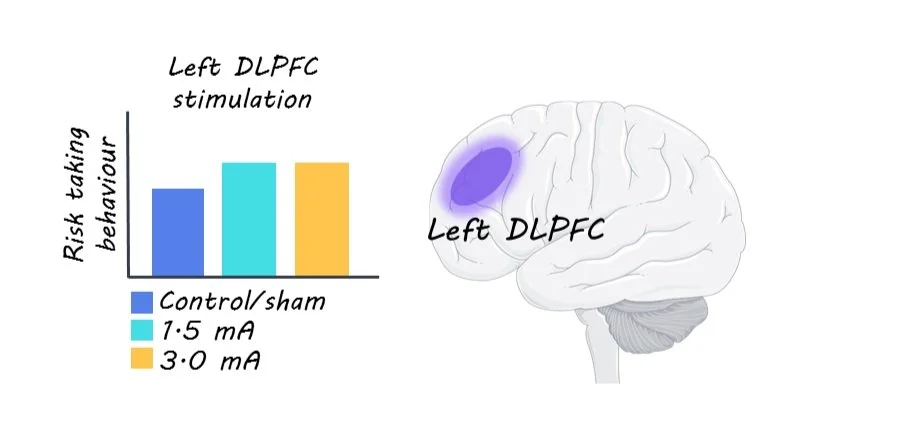 The Role of Frontal Theta-Band Activity in Regulating Risk-Taking ...