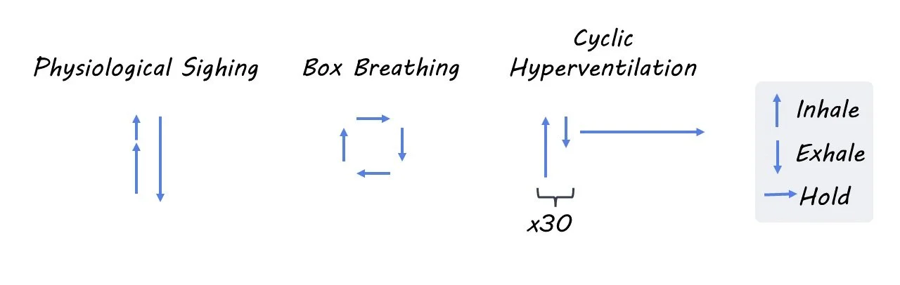 Controlled Breathwork Improves Mood and Reduces Anxiety — BrainPost ...