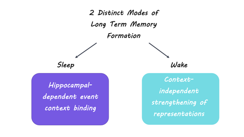 Long-Term Memory Formation Occurs Differently During Wakefulness and ...