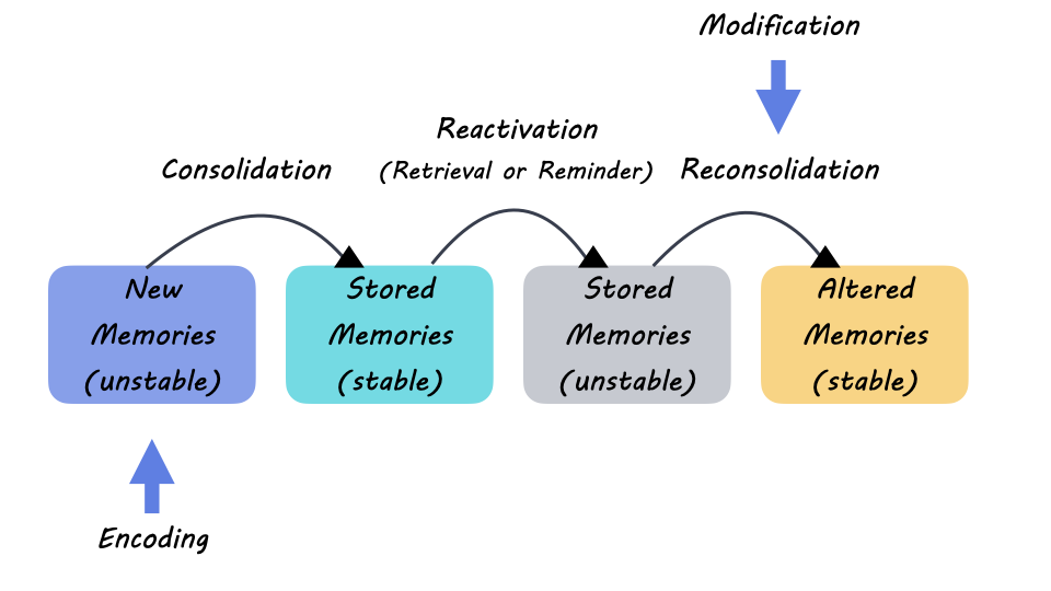 memory encoding storage retrieval