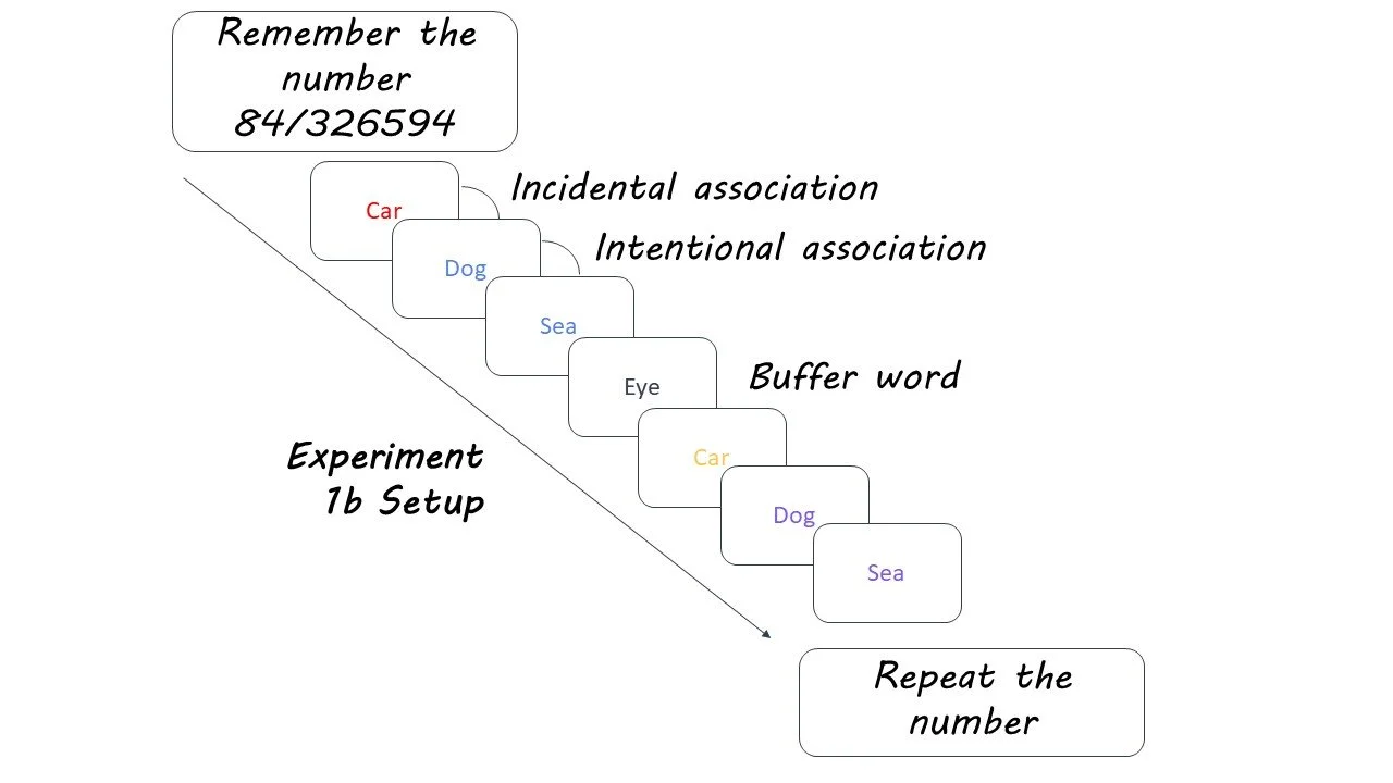 Interference Memory Psychology