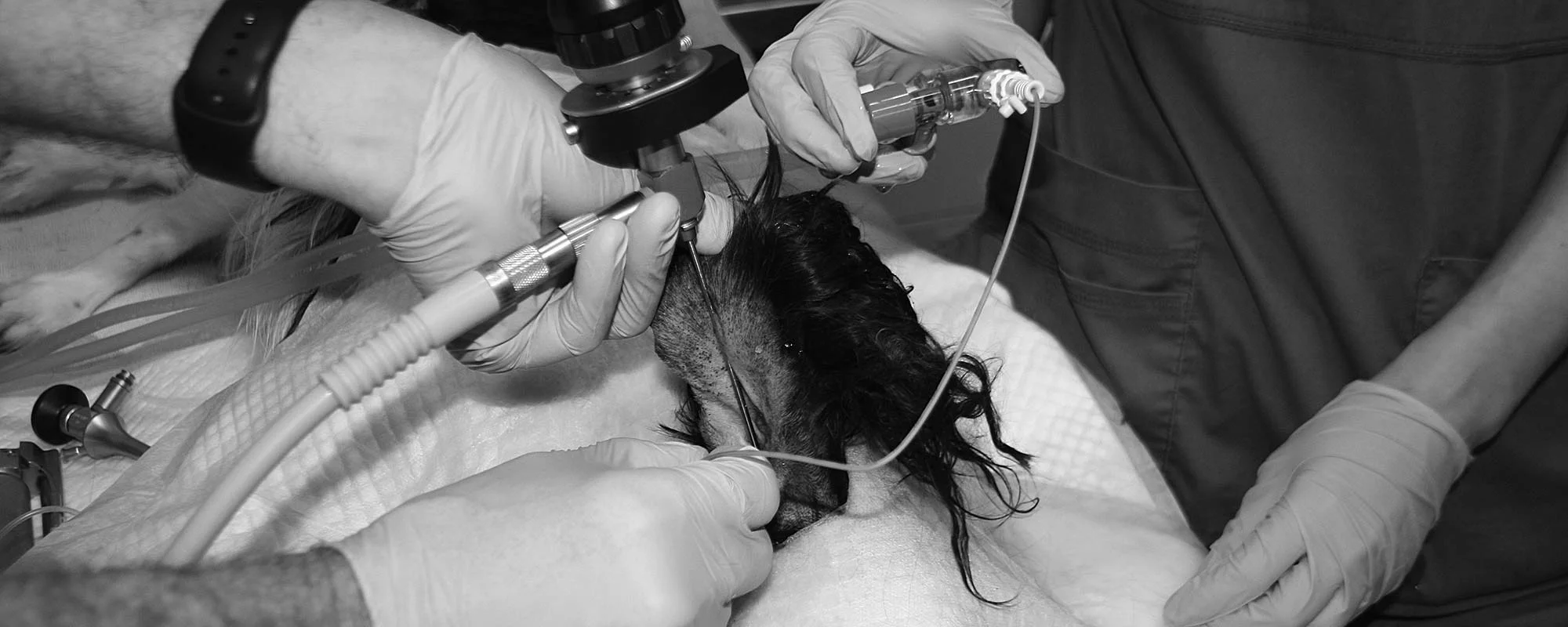 procedure2.jpg