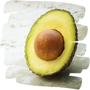 avo2.jpg