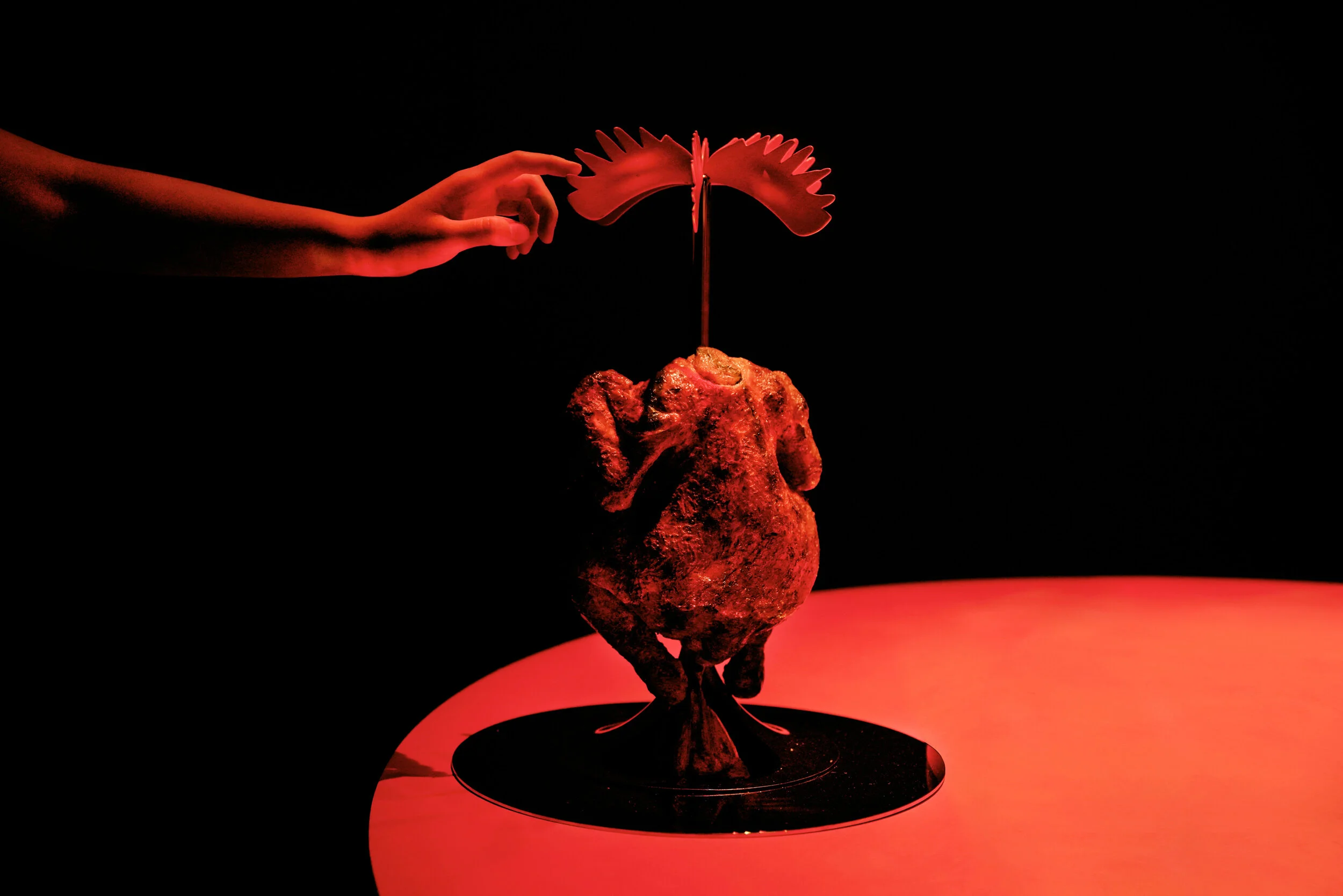mhqx_rooster_LR.jpg