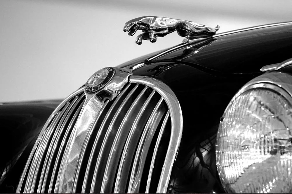 restauratie-jaguar-theo-koelman.jpg