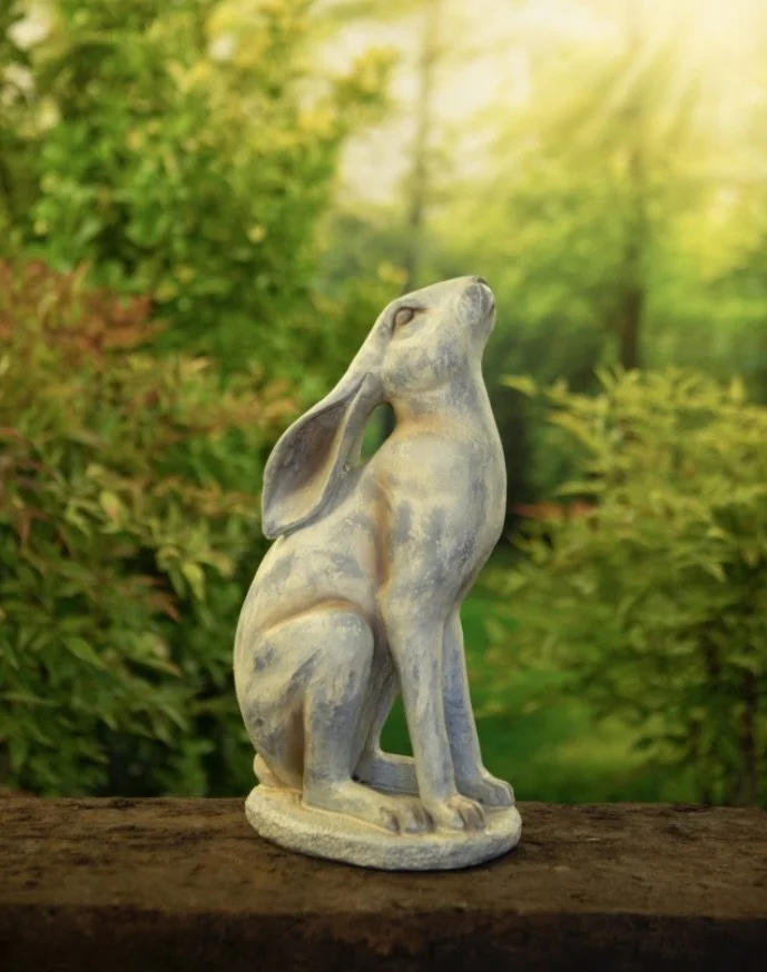 Screenshot 2026-01-19 at 14.16.23.jpeg