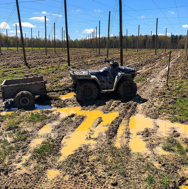 Nice to finally see the sun ! Beautiful day for planting, wishing everyone a happy Sunday ! .
.
.
#hopfarm #craftbeer #beer #entrepreneurship #farming #agriculture