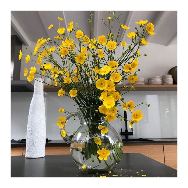 Wild pickings from the field and clearing my head with an afternoon walk.  If I&rsquo;m completely honest I also decided to post because it compliments the previous pic .  #wildflowers #naturewalk #colourpalette