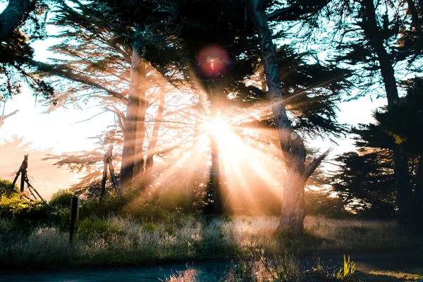 sun.jpg