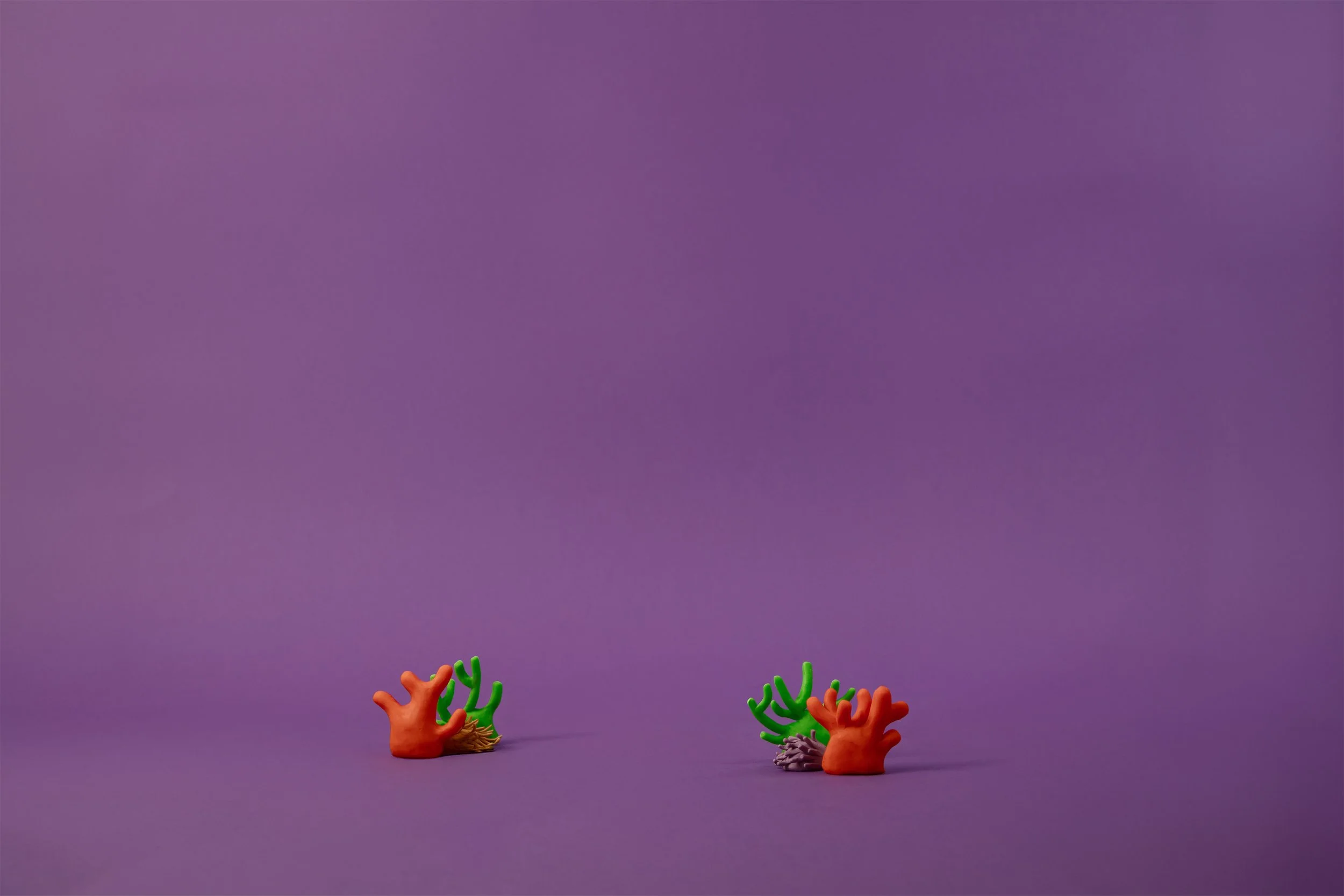 BACKGROUND.jpg