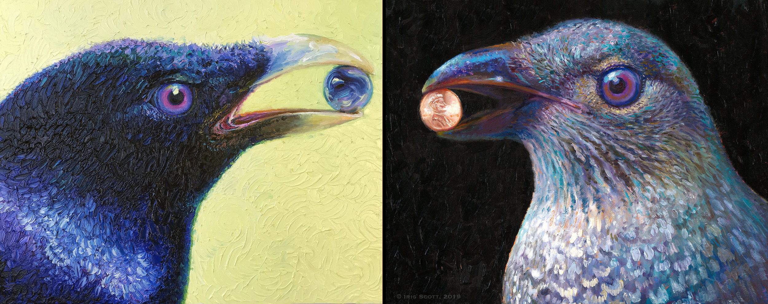 “Bowerbird 2” 20x16 | “Bowerbird” 20x16