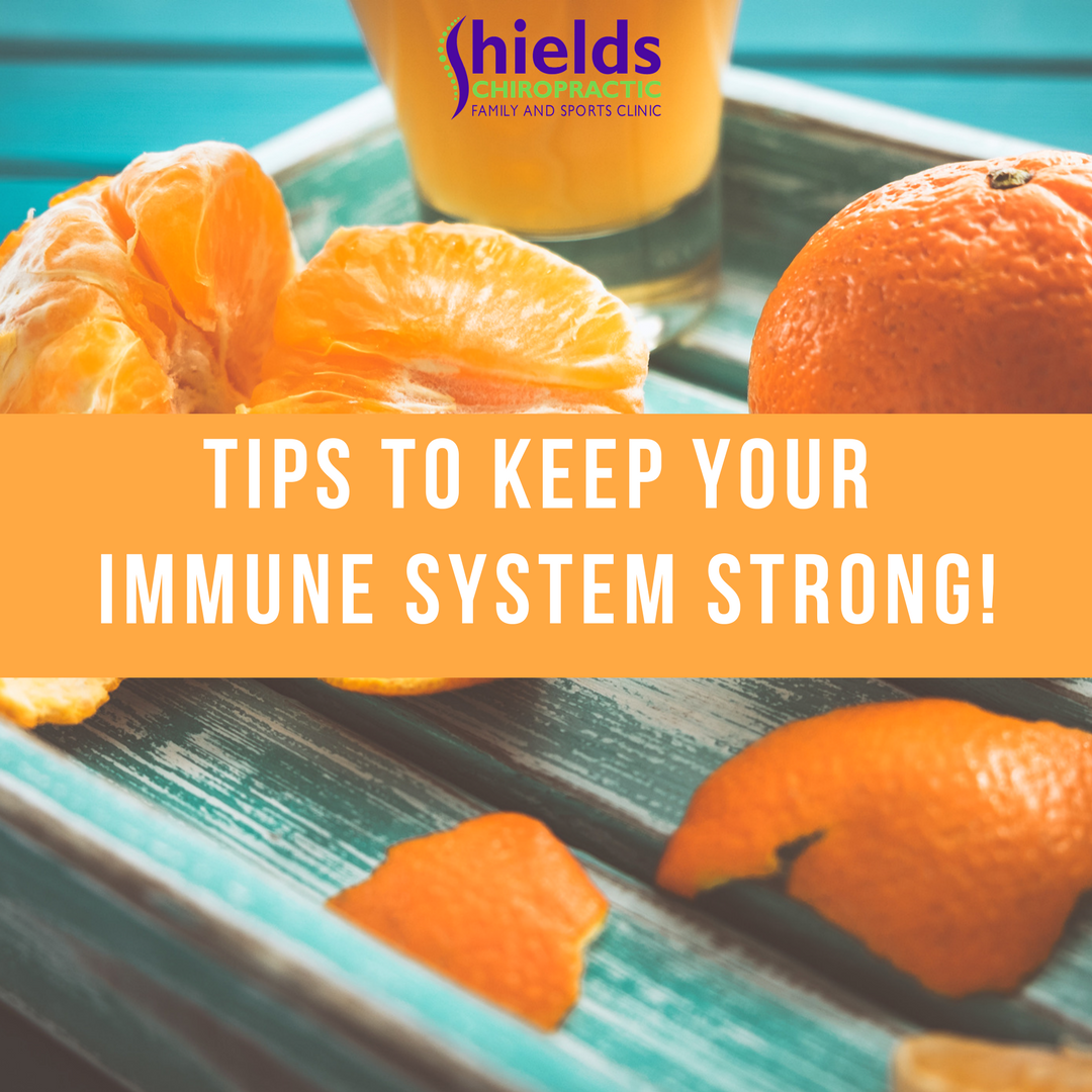 shields-chiropractic-immune-system.png