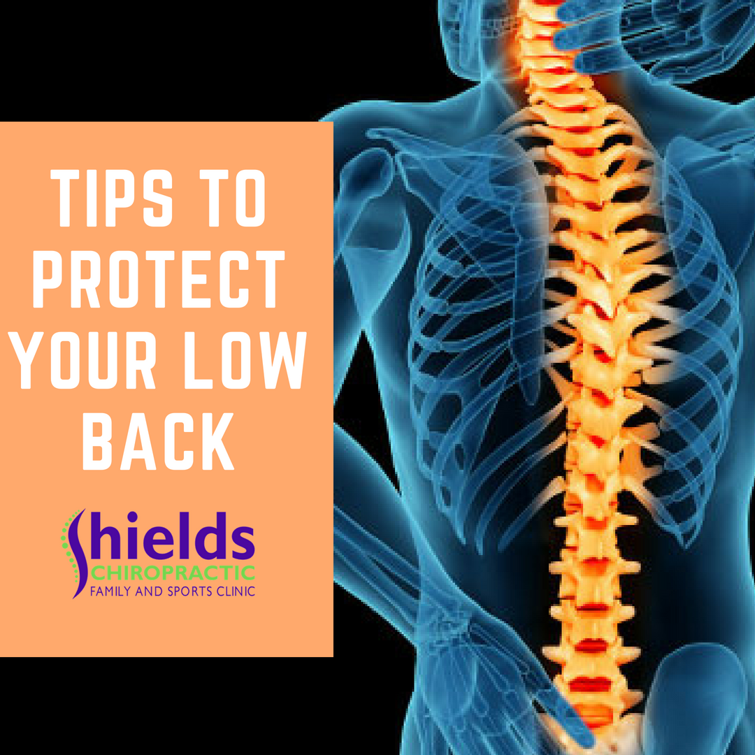 shields-chiropractic-low-back.png