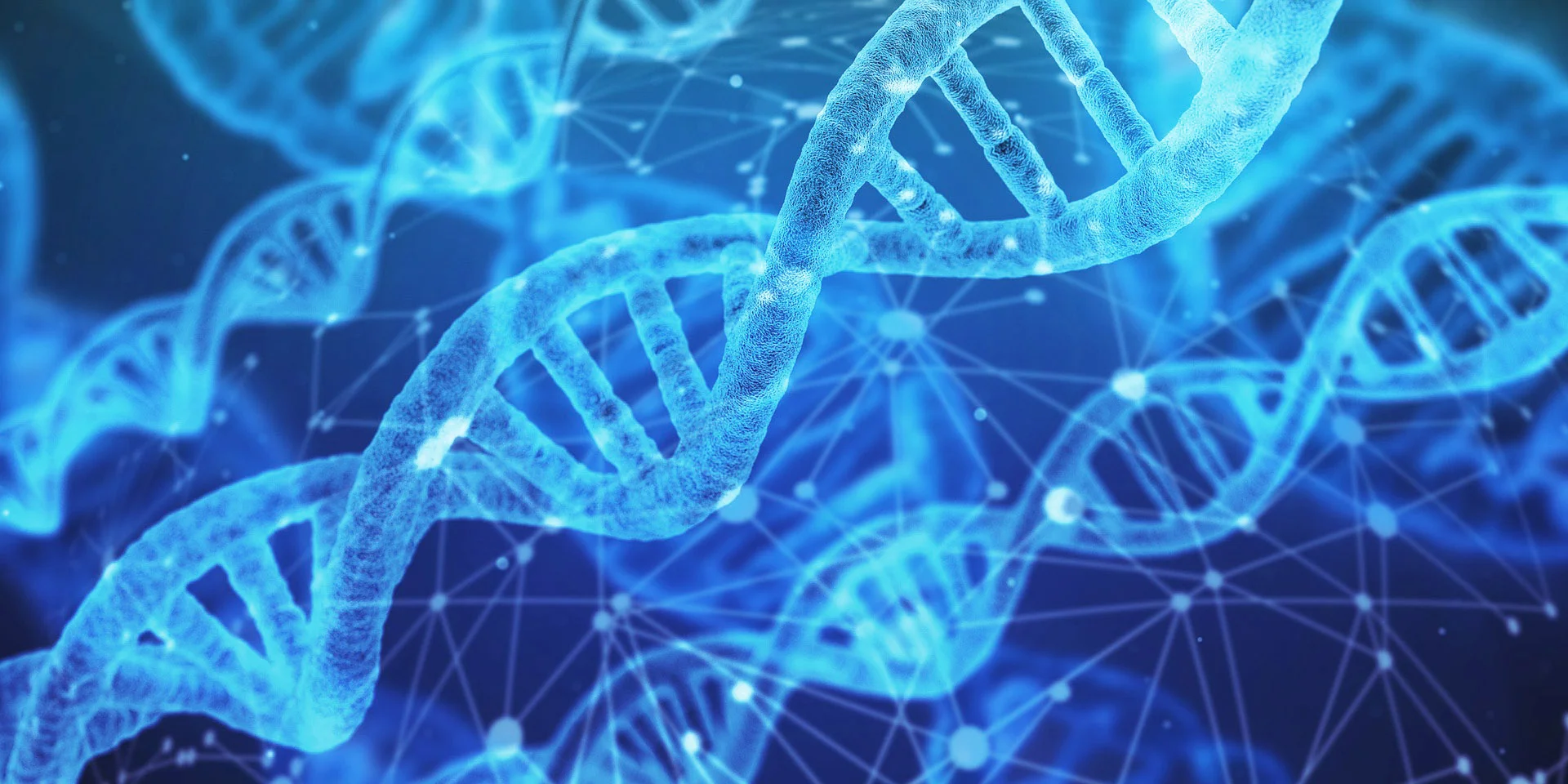 dna-3539309_1920 1.jpg