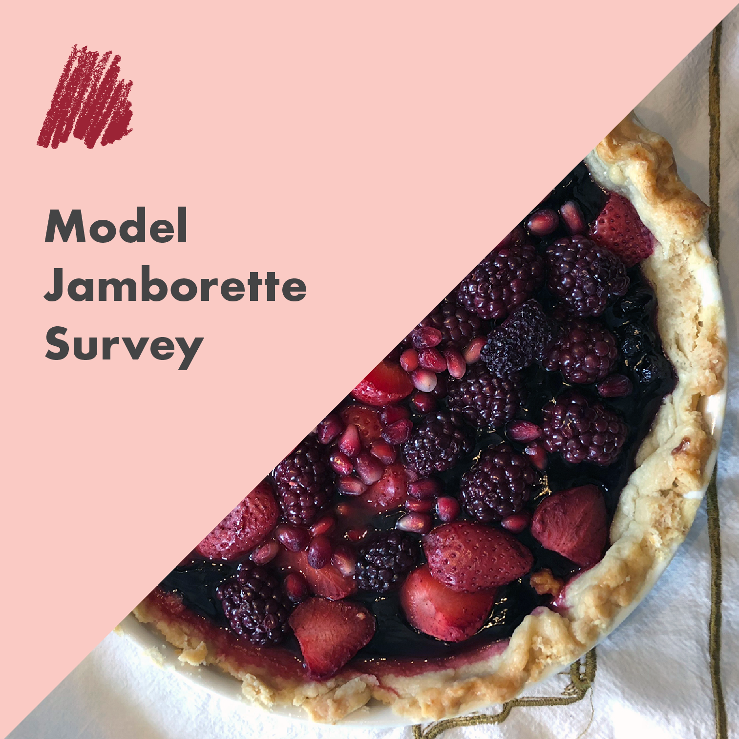 Model Jamborette Survey.png