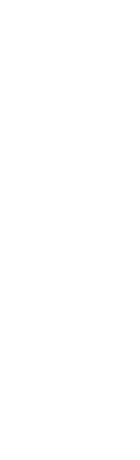 RGB_verticaal_WIT.png