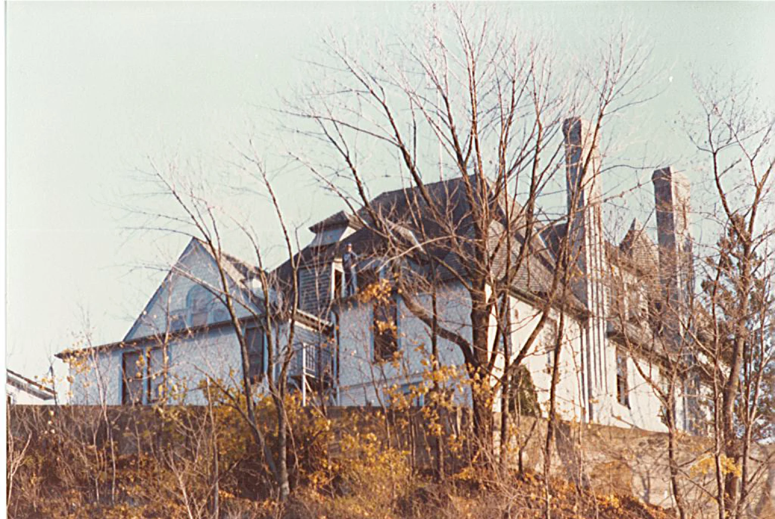 the house.jpg