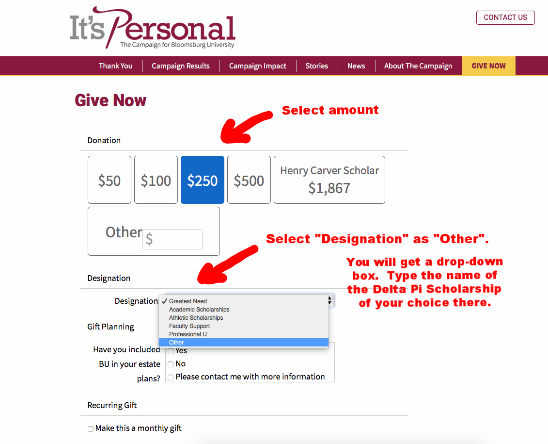 Above is a screenshot of the Bloomsburg University Foundation “It’s Personal” donations landing page. Please use this as your guide.