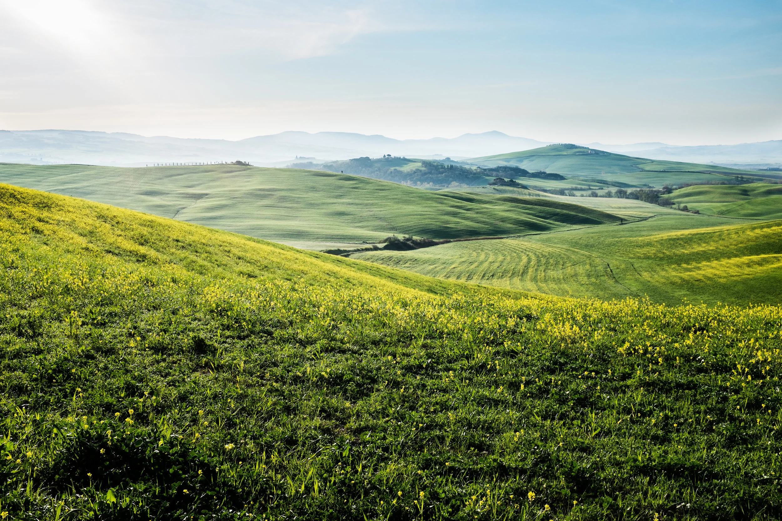 shutterstock_136687685 ABSTRACT _ BANNER.jpg