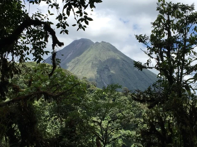 Parrotts of the Caribbean III or How Did the Parrotts End Up in Costa Rica Anyway? 