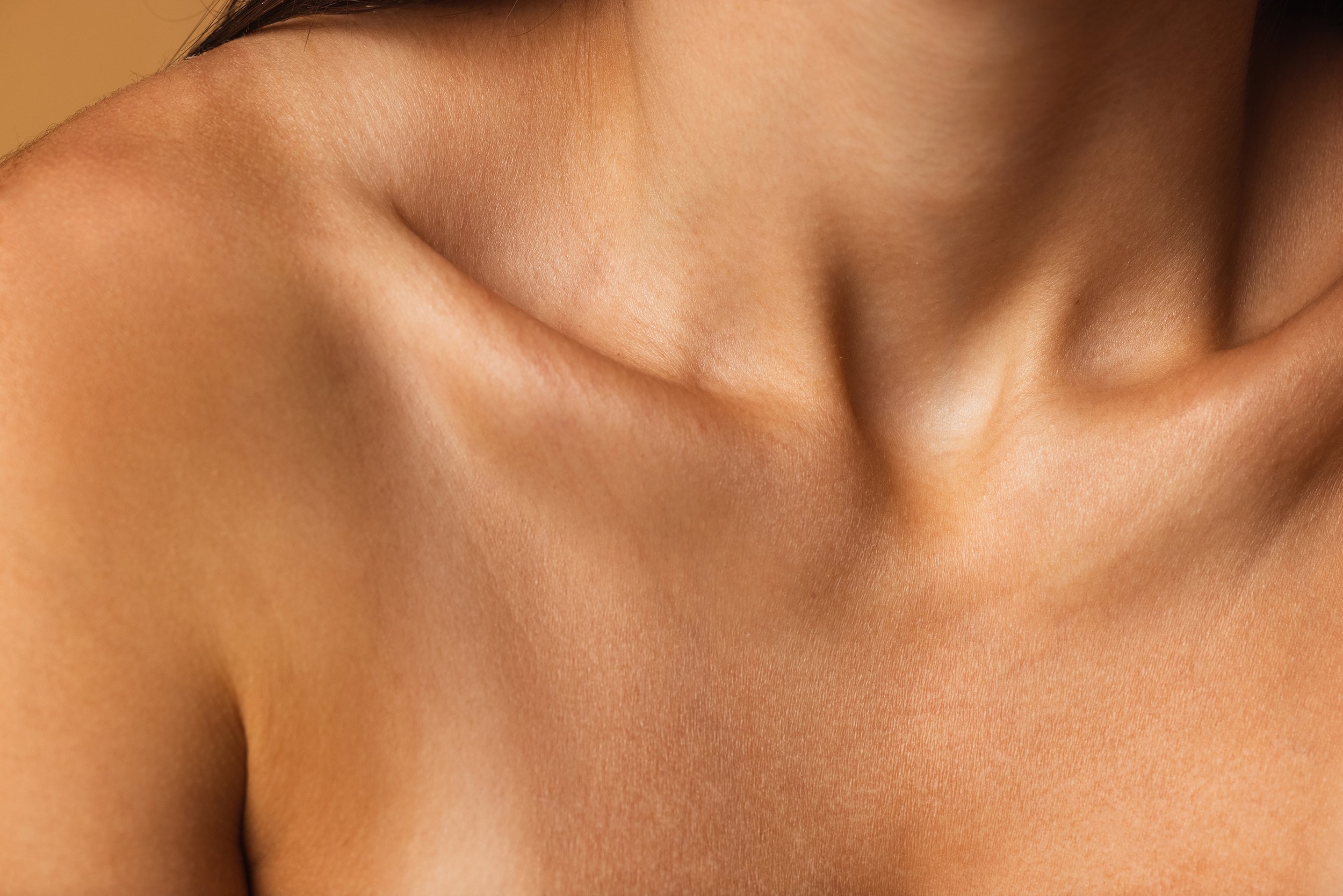 Close up of tanned skin, neck, chest, and collarbones