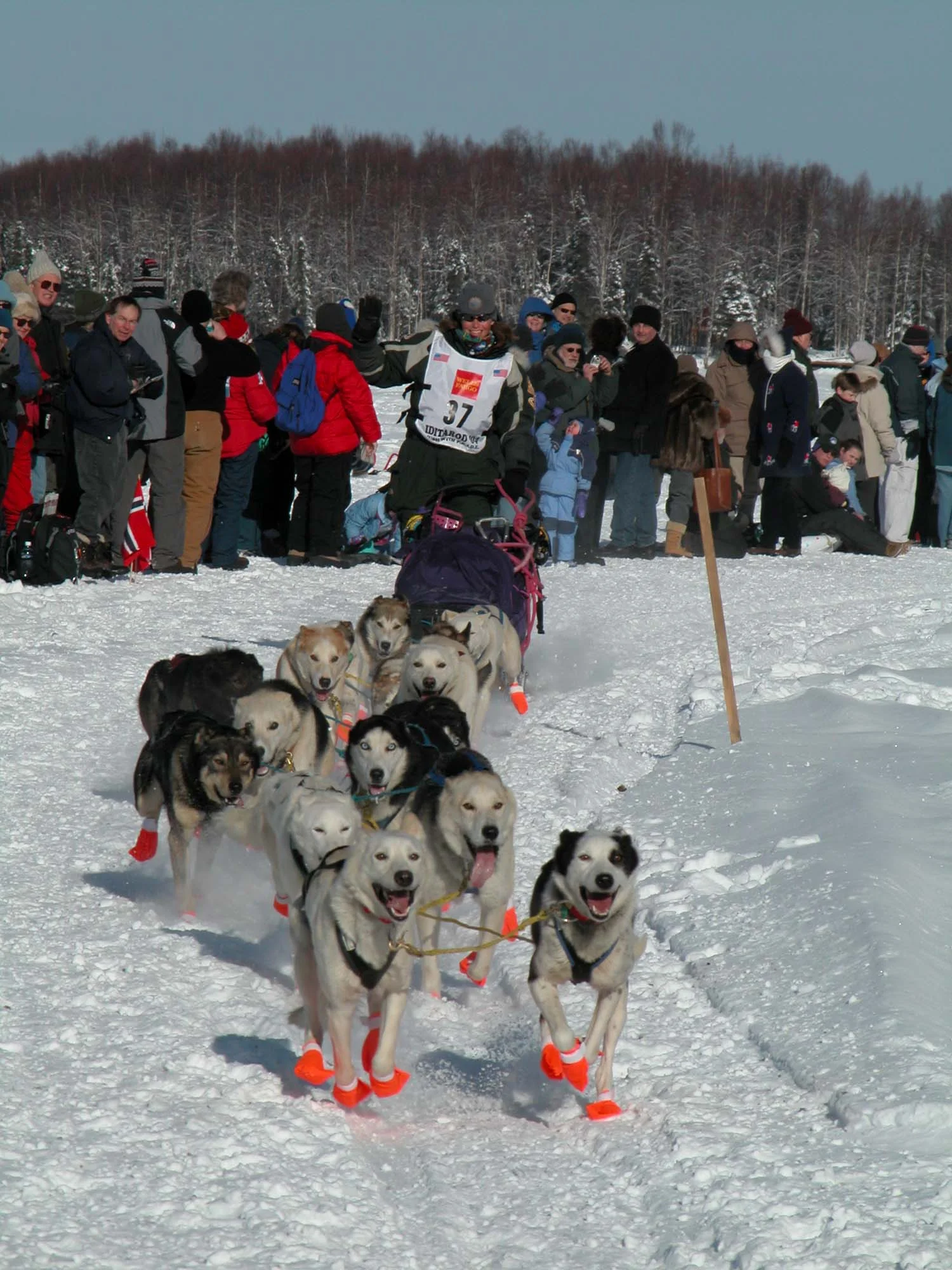 2004Racestart.jpg