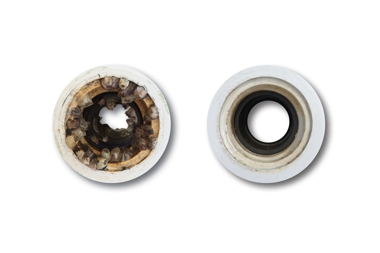 ElectroSea ClearLine — Skid Lines & Raw Water Protection — image 1