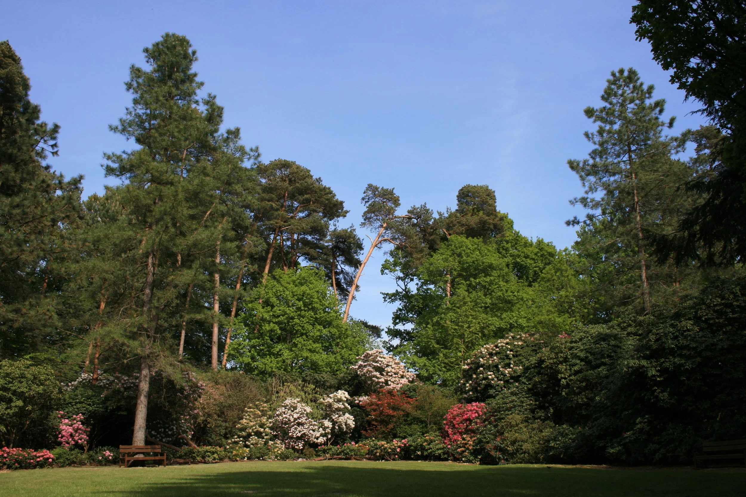 Rhododendronpark_Hobbie.jpg