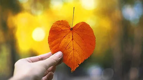 Herbstmarkt im Park der Gärten