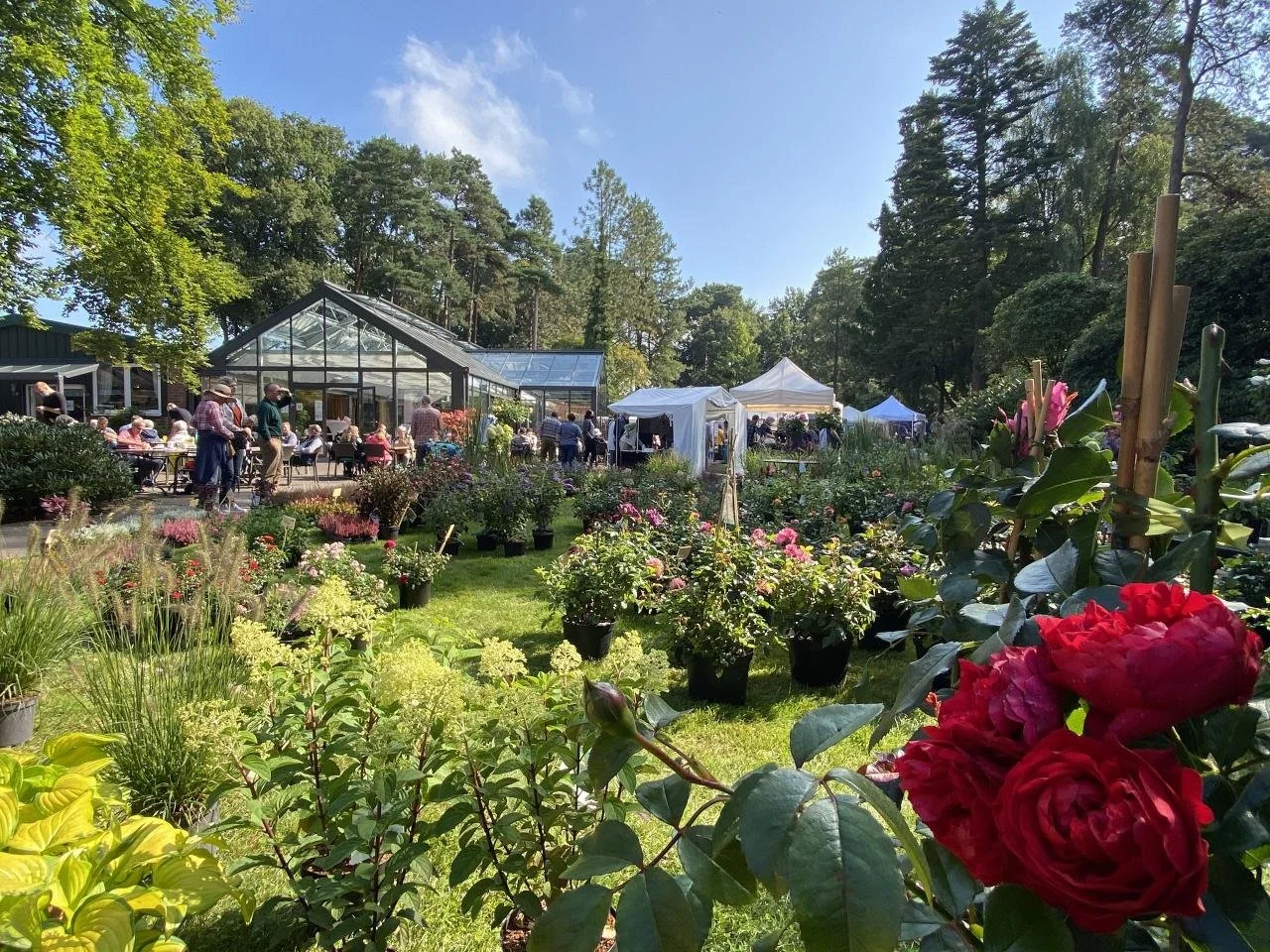 Aktion: Kunst- &amp; Handwerkermarkt