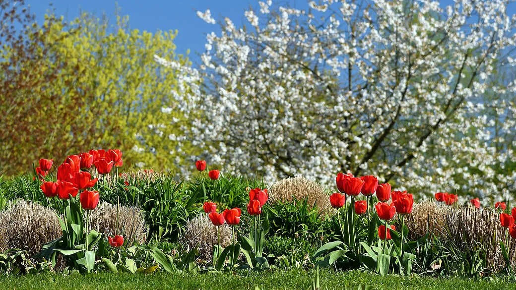 Sonderöffnung: Frühlingsboten im Park der Gärten