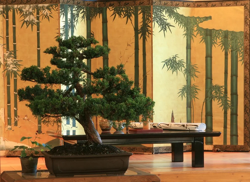 Veranstaltungen  Deutsche Rhododendron-Gesellschaft e.V.