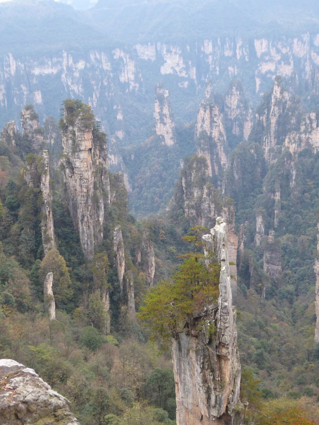 Online-Vortrag: The 2025 Expedition to China