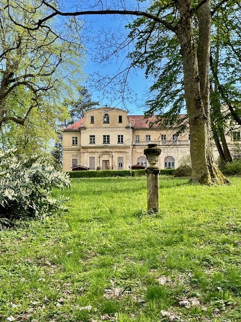 Aktion: Rhododendron-Blütenfest in der Schloss- und Parkanlage Tannenfeld