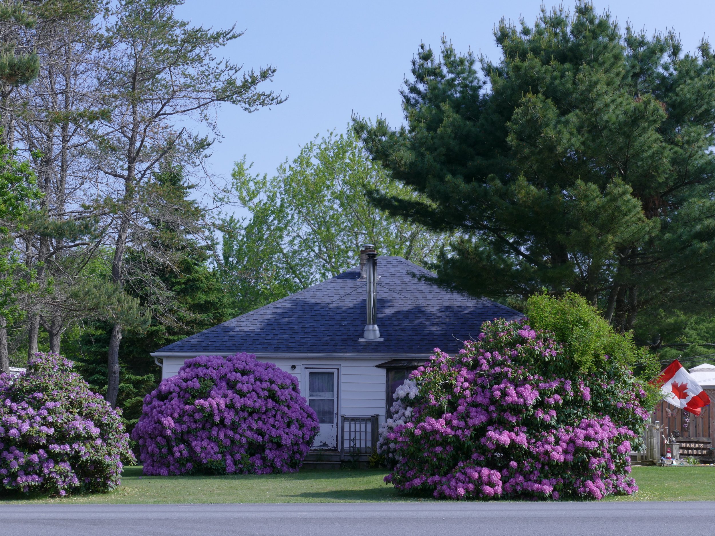 Vortrag: Frühling &amp; Herbst im Osten Kanadas – eine (Garten-)Reise durch Nova Scotia und New Brunswick