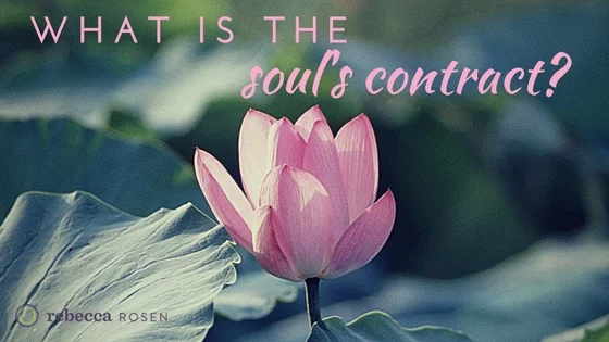 The-souls-contract.jpg