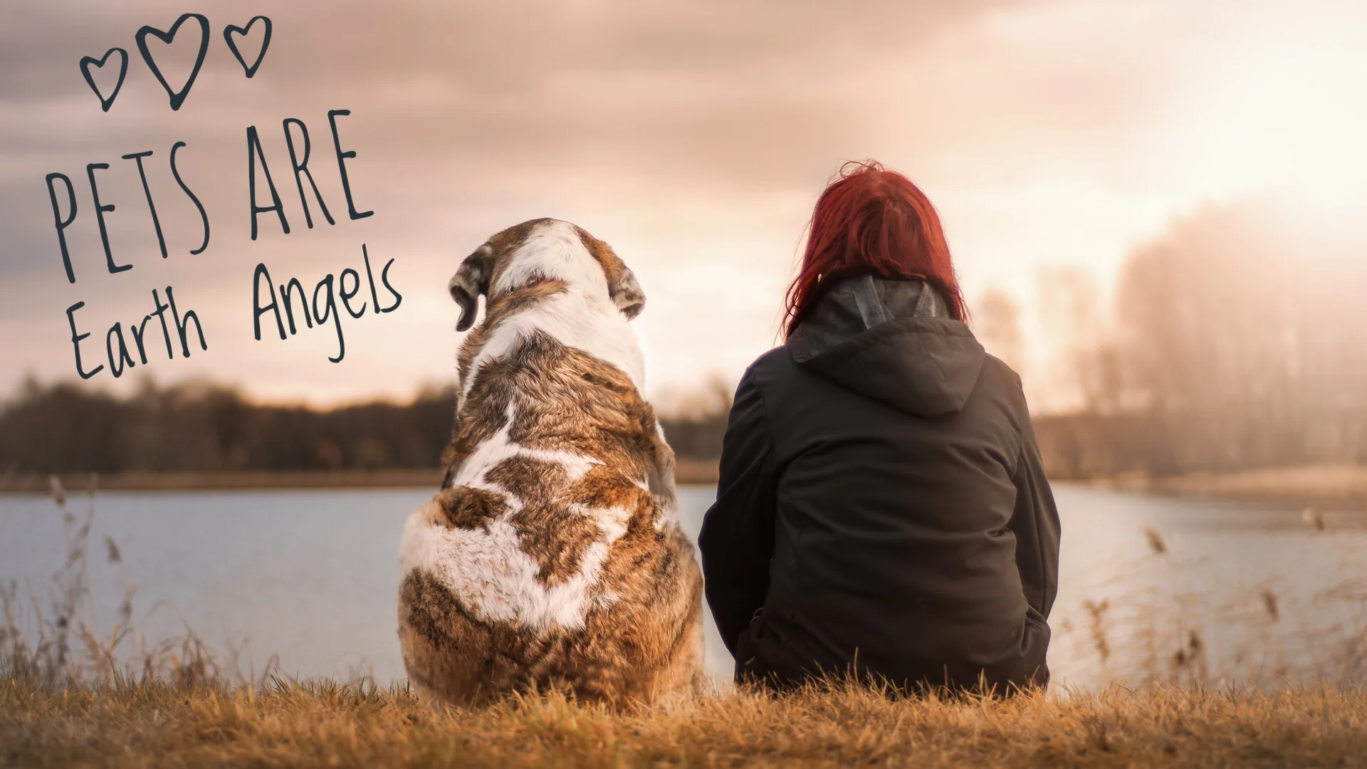 Pets Are Earth Angels