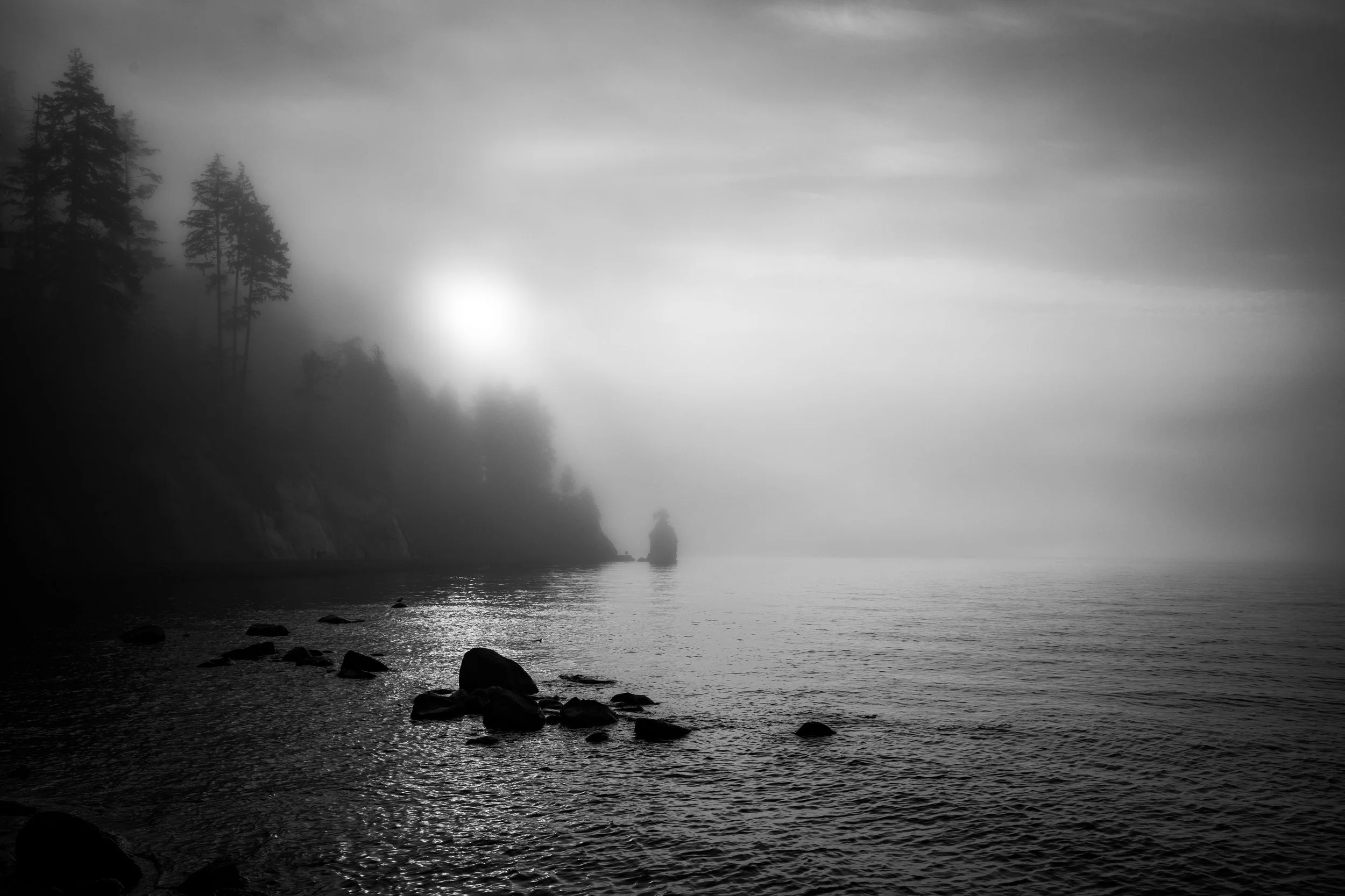 Foggy Coast
