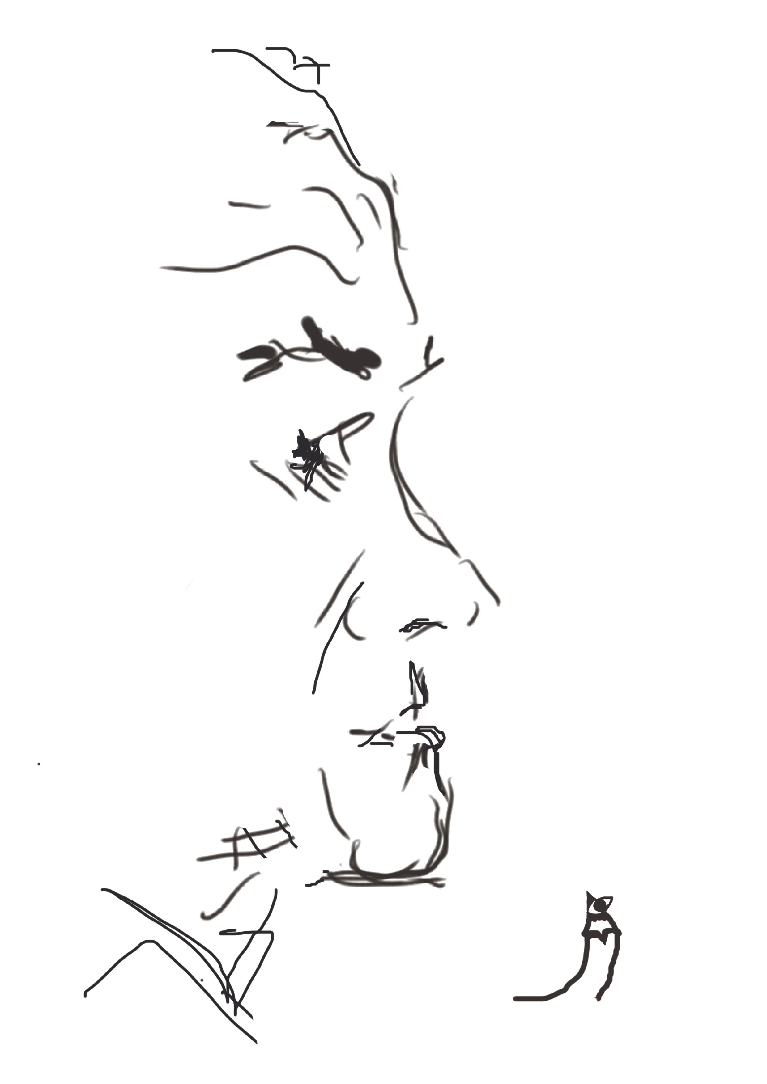 Andrzej Krauze, cartoonist