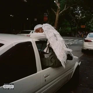 blood orange_negro swan.jpg