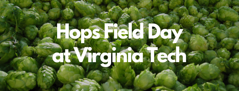 Hops Field Day at Virginia Tech.png