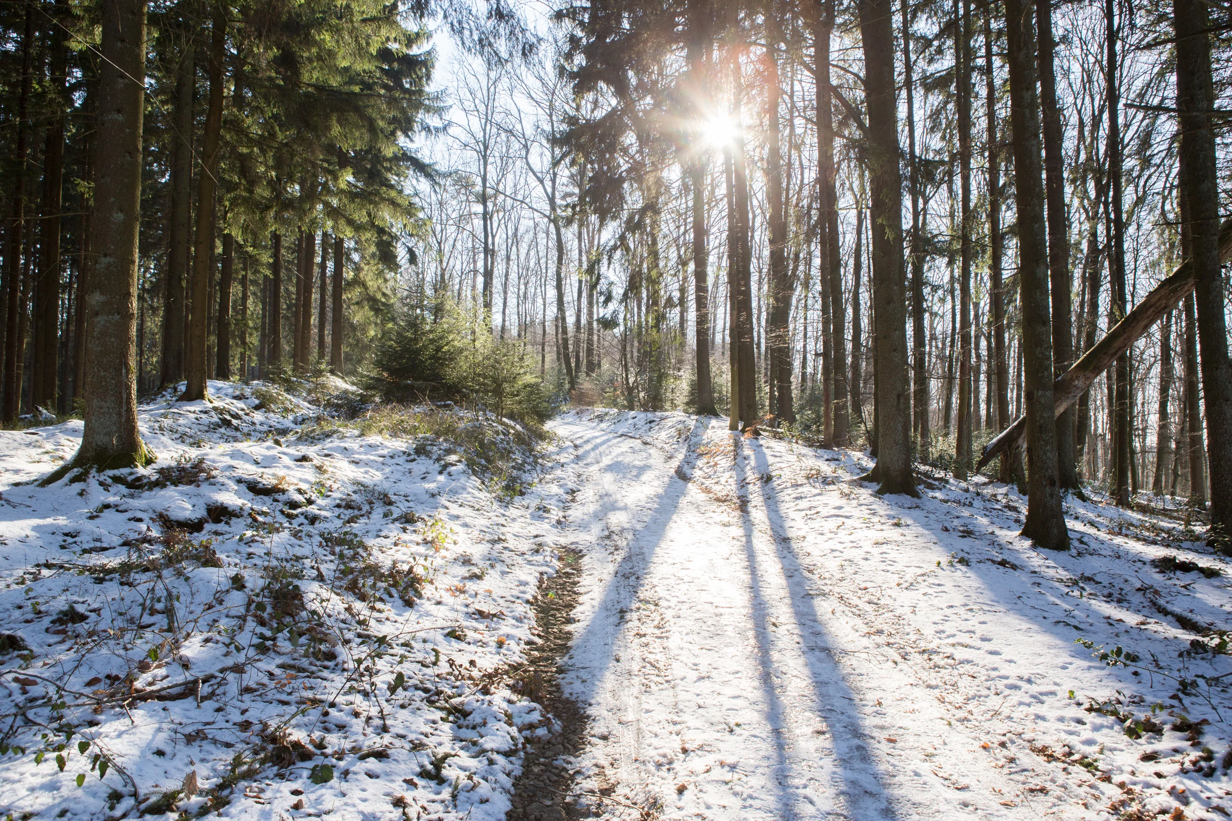 Huhu die Sonne scheint wieder
