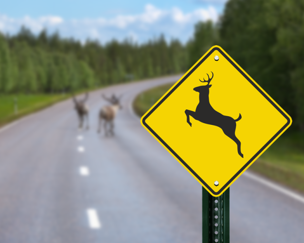 deer-crossing-sign.png